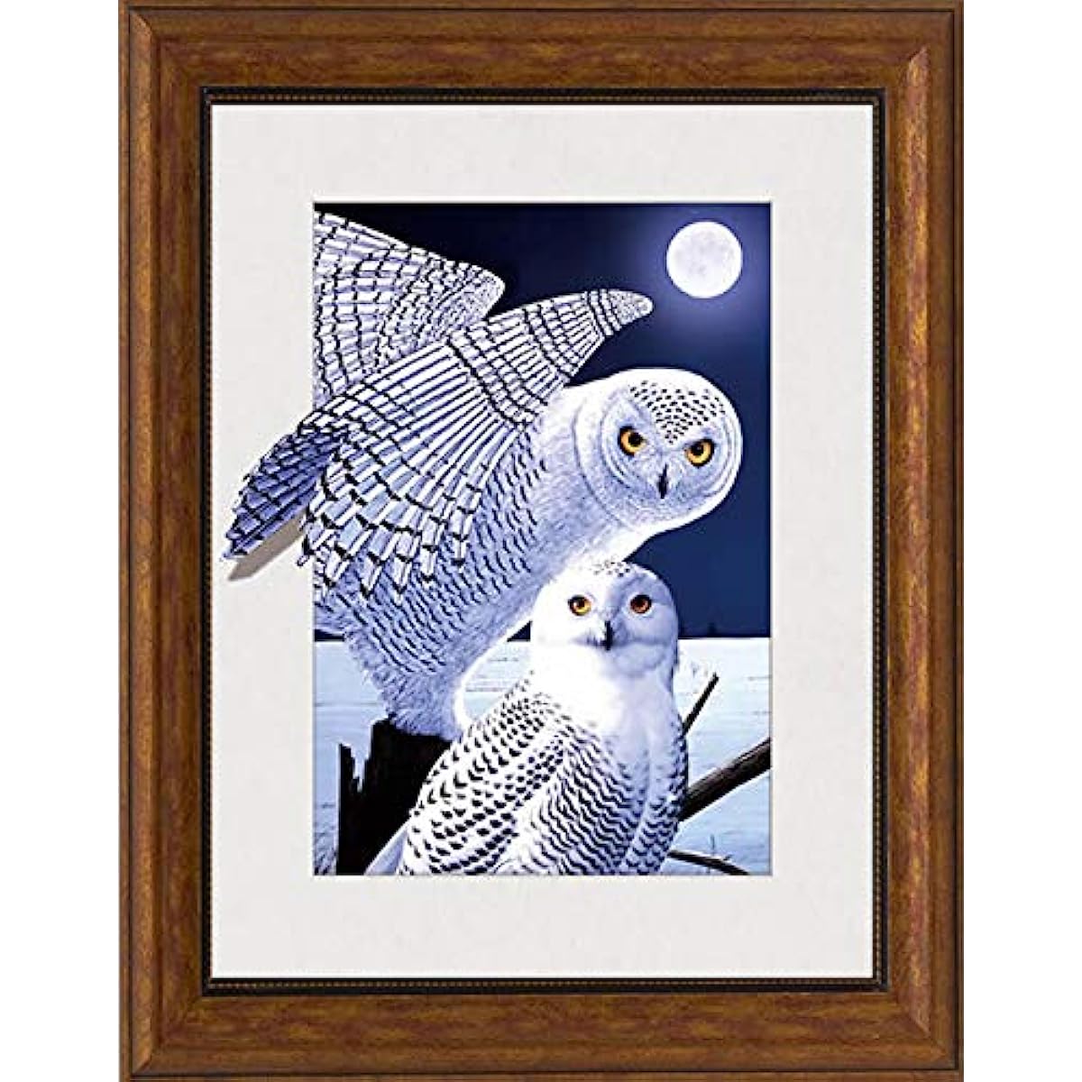 Owls Collection Lenticular 3D Wall Art: TripStan Holographic Flipping Images (12x16 inches, Animal Poster)