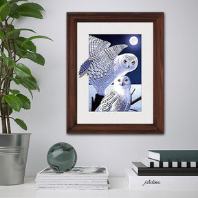 Owls Collection Lenticular 3D Wall Art: TripStan Holographic Flipping Images (12x16 inches, Animal Poster)