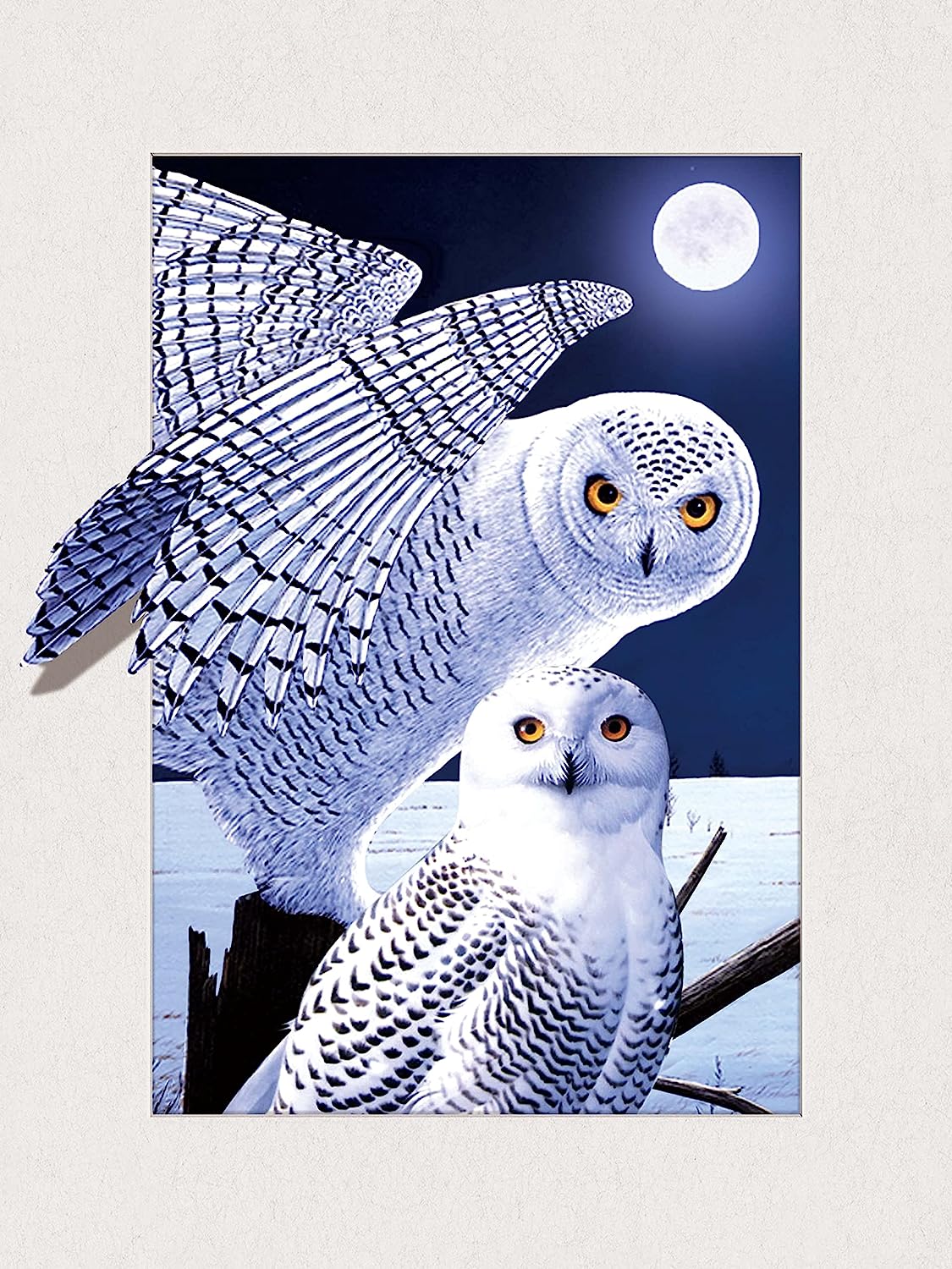 Owls Collection Lenticular 3D Wall Art: TripStan Holographic Flipping Images (12x16 inches, Animal Poster)