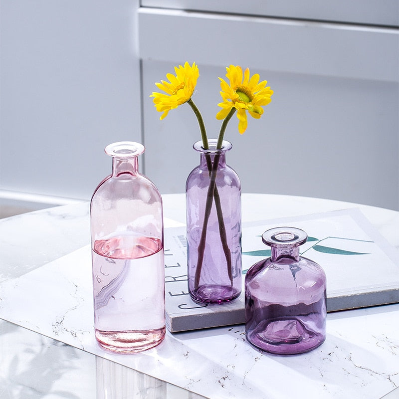 Nordic Ins Style Glass Vase for Dried Flowers: Elegant Home Decor Accessory