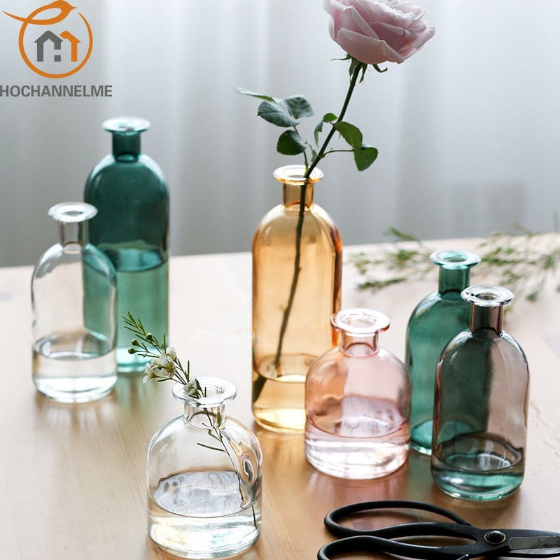 Nordic Ins Style Glass Vase for Dried Flowers: Elegant Home Decor Accessory